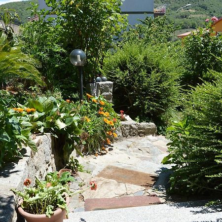 Pietro & Graziella Bed & Breakfast Sorgono Exterior photo