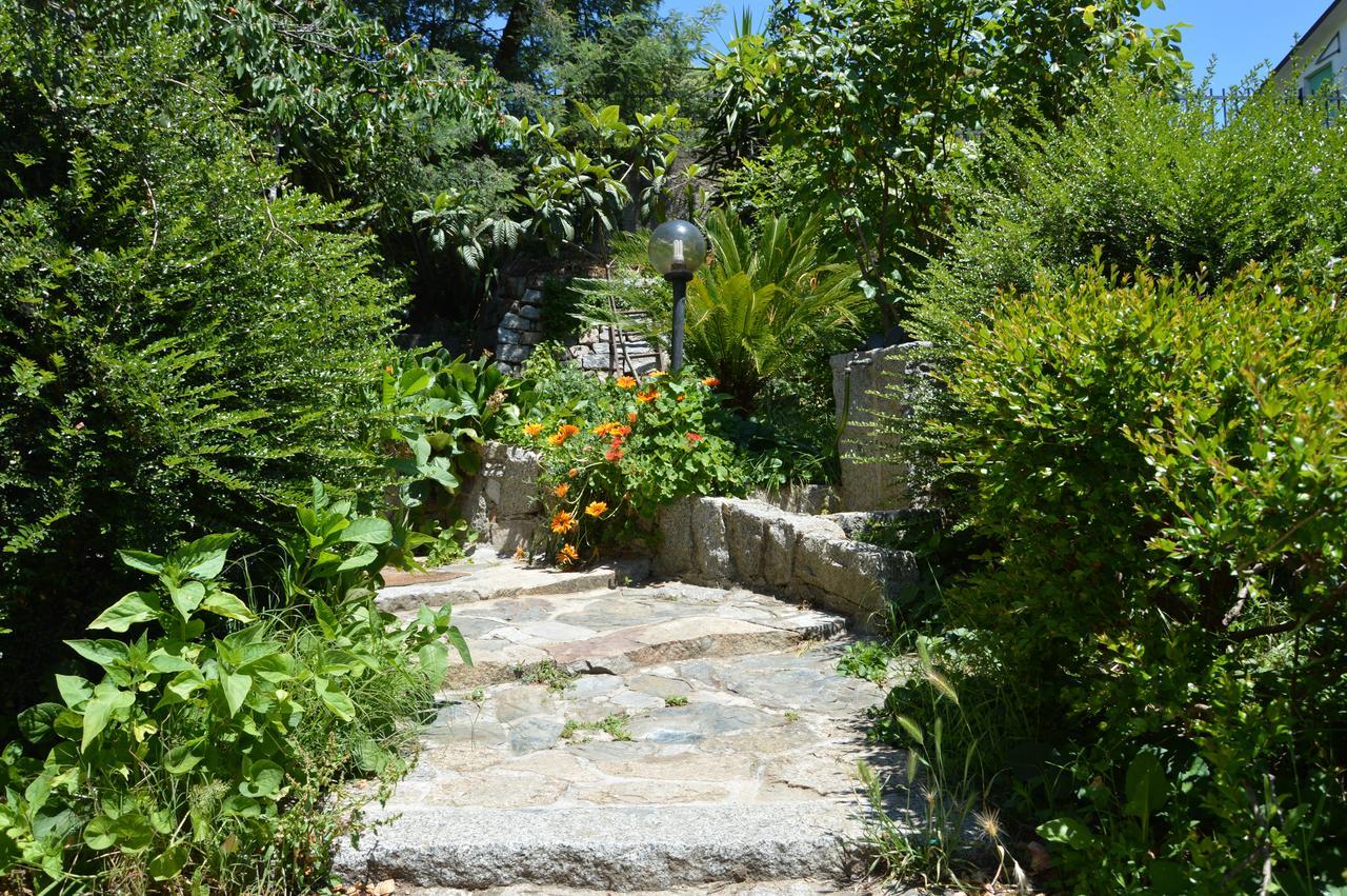 Pietro & Graziella Bed & Breakfast Sorgono Exterior photo